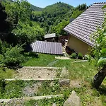 Hulina