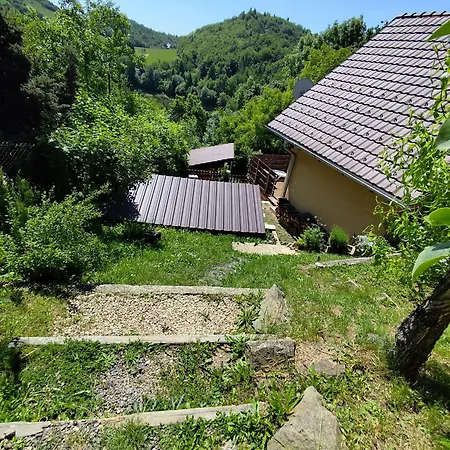 Hulina